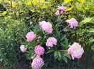IMG20230530081741