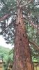 IMG-20230605-WA0129