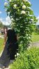 IMG-20230605-WA0141