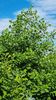 IMG-20230604-WA0003