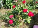 IMG20230605155012
