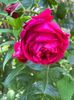 B2C22D1E-C5B9-4A04-8942-8A896C14CFF0