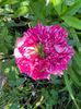 DB0E1689-BD5D-436B-BCC4-E131E314B85E