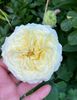D3D77199-17A9-4FC3-9042-025A739DDFDF