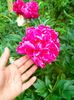 IMG20230606200726