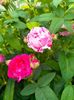 IMG20230606195311