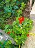 IMG20230608174627
