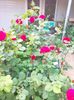 IMG20230608174612