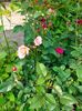 IMG20230608174556
