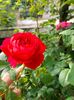 IMG20230608174430