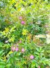 IMG20230608173708