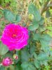 IMG20230608173645