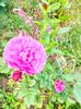 IMG20230608173622
