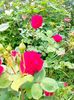 IMG20230608173556
