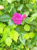 IMG20230608173346