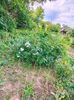IMG20230608172425