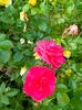 IMG20230608171254