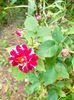 IMG20230608171103