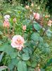 IMG20230608171658