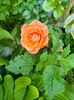 IMG20230608171442