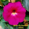 IMG-20230608-WA0034