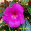 IMG-20230608
