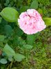 IMG20230608171905