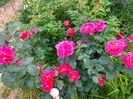 IMG20230608171552