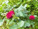 IMG20230608171827