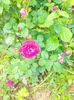 IMG20230610141012