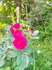 IMG20230610140952