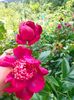 IMG20230610143908