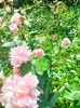 IMG20230610140922