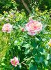 IMG20230610140853