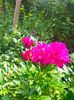 IMG20230610140716