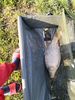 IMG20230610073547