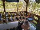 IMG20230609082402