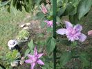 IMG20230610081212