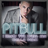 pitbull-i-know-you-want-me