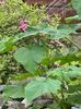IMG-20230614-WA0109