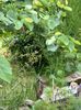 IMG-20230614-WA0111