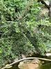 IMG-20230614-WA0112