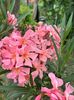 IMG-20230614-WA0145
