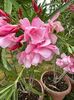 IMG-20230614-WA0147
