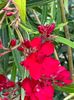 IMG-20230614-WA0149
