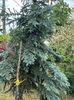 IMG-20230614-WA0156