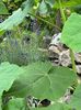 IMG-20230614-WA0157