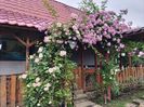 IMG20230615113825