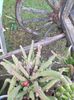 IMG-20230614-WA0048