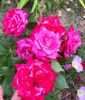 50AAAB98-C36E-4685-8B93-9534D5B73393